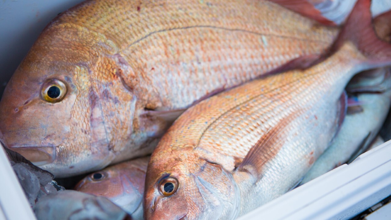 バサクラ2022】Basser Allstar Classic2022出場選手紹介：江口俊介選手